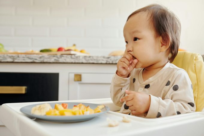 Strategi Ampuh Mengatasi Anak 1 Tahun Susah Makan Tanpa Stres bagi Orang Tua